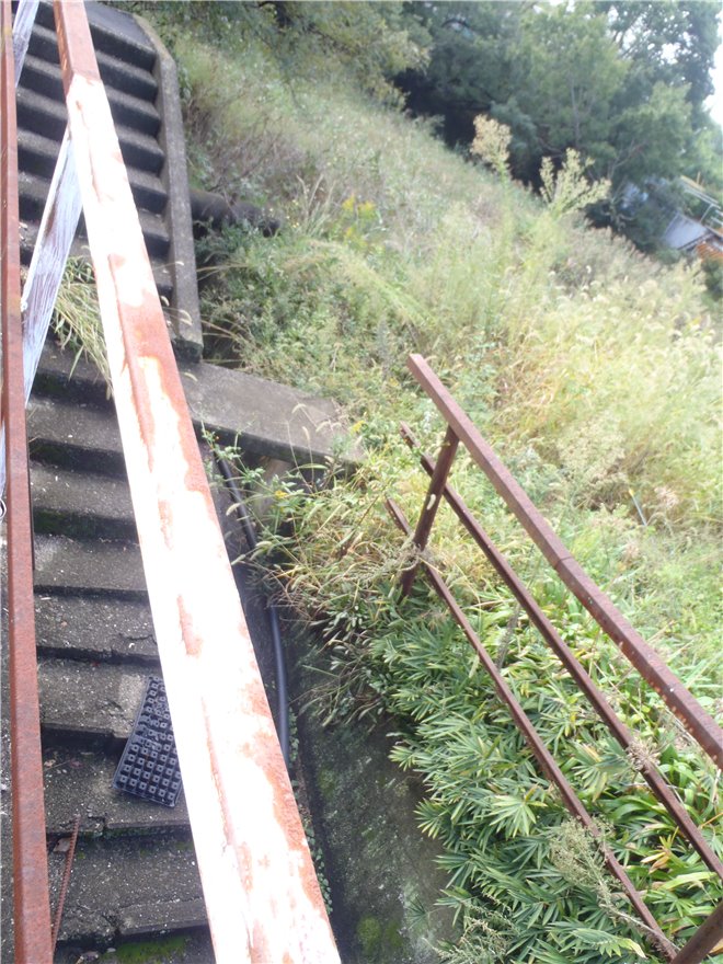 写真 No.35