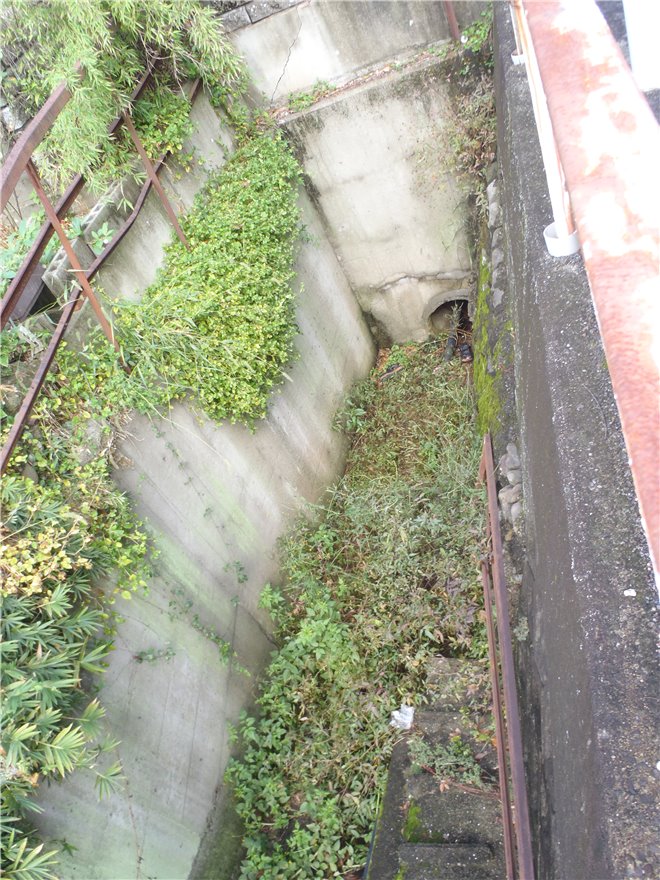 写真 No.36
