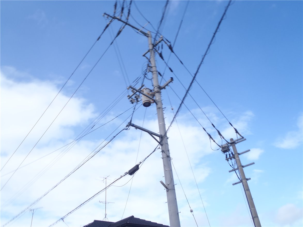 写真 No.37