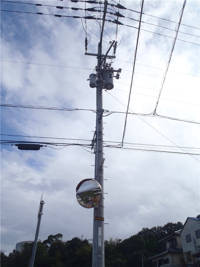 写真 No.39