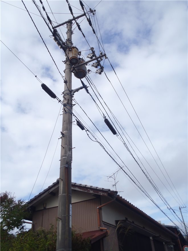 写真 No.43