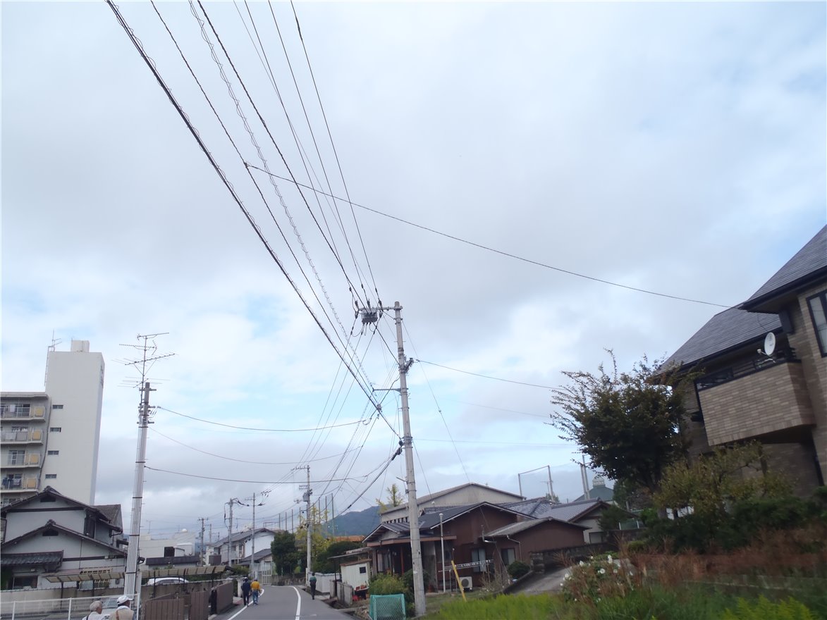 写真 No.44