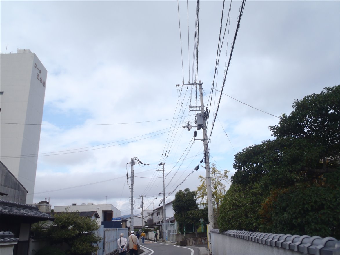 写真 No.46