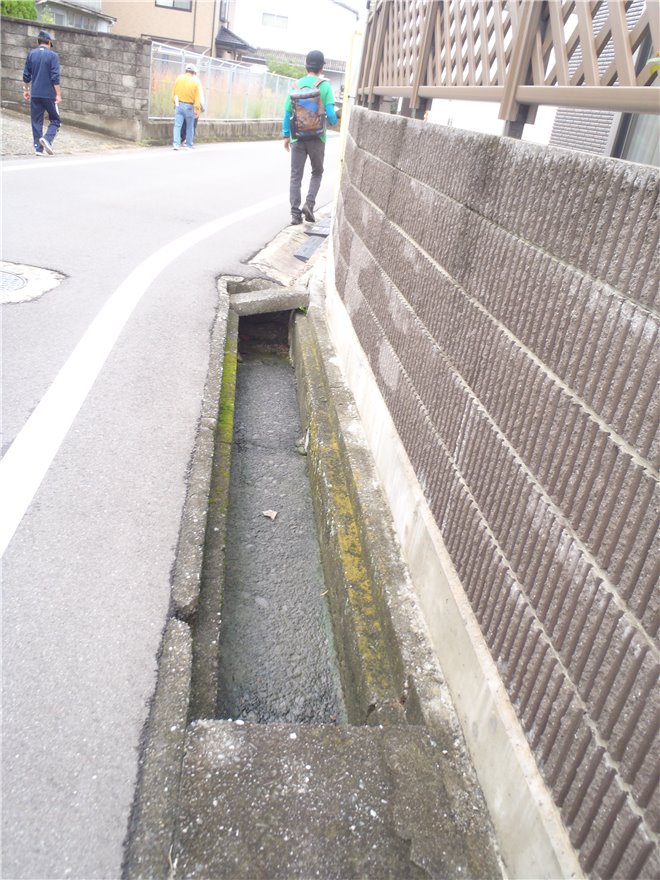 写真 No.49