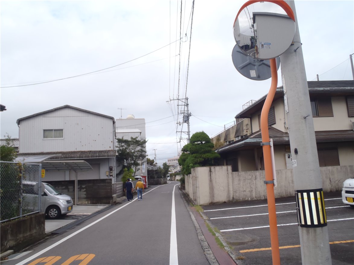 写真 No.50