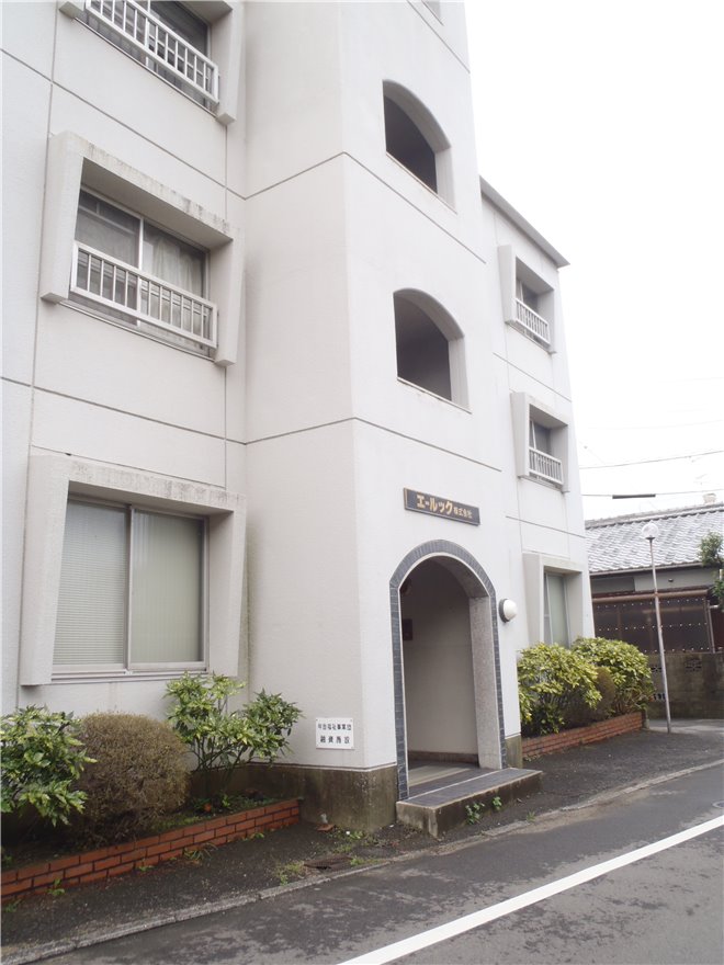 写真 No.51