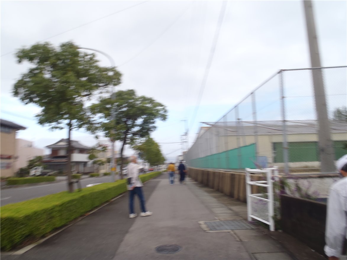 写真 No.54