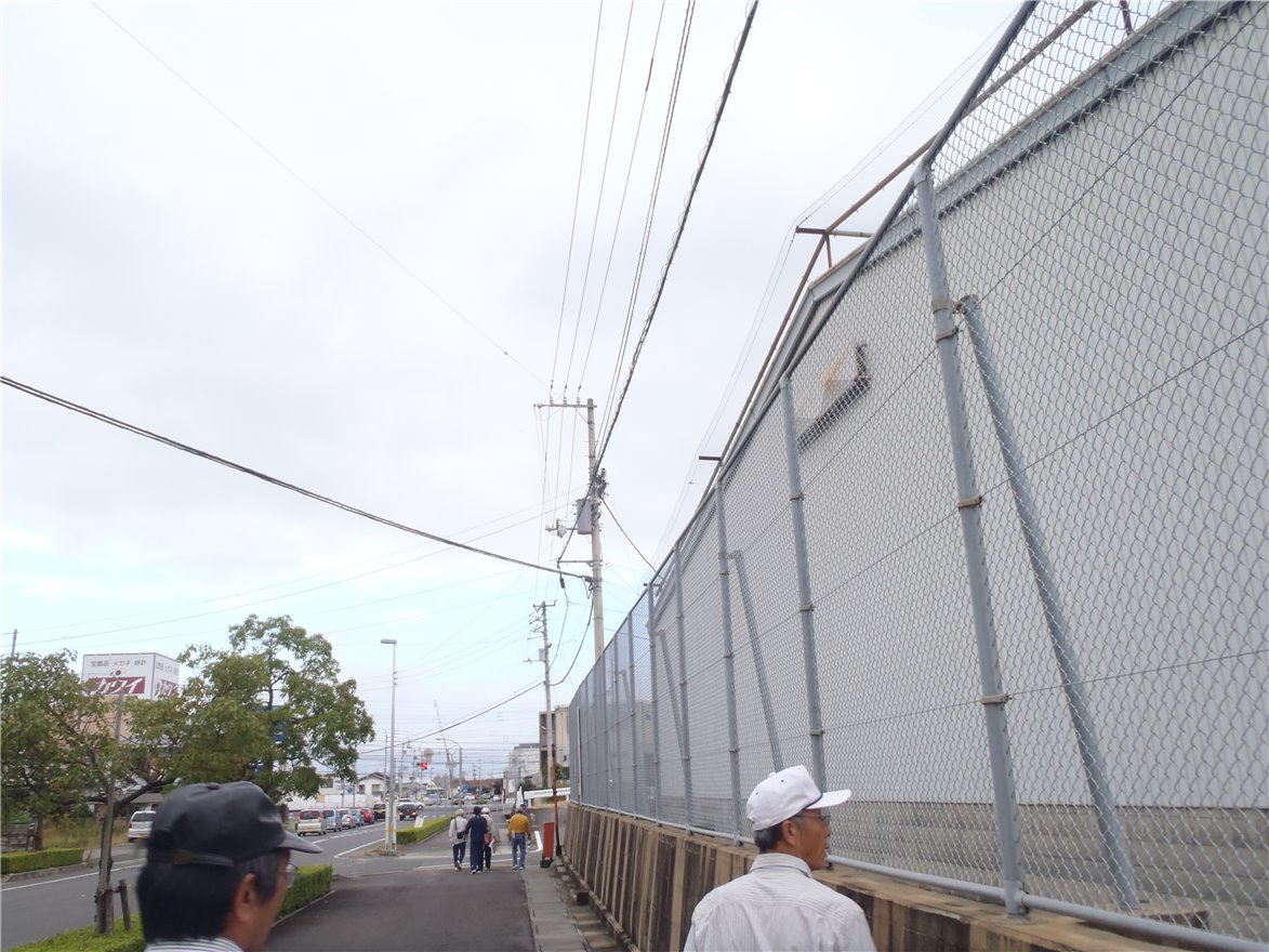 写真 No.55