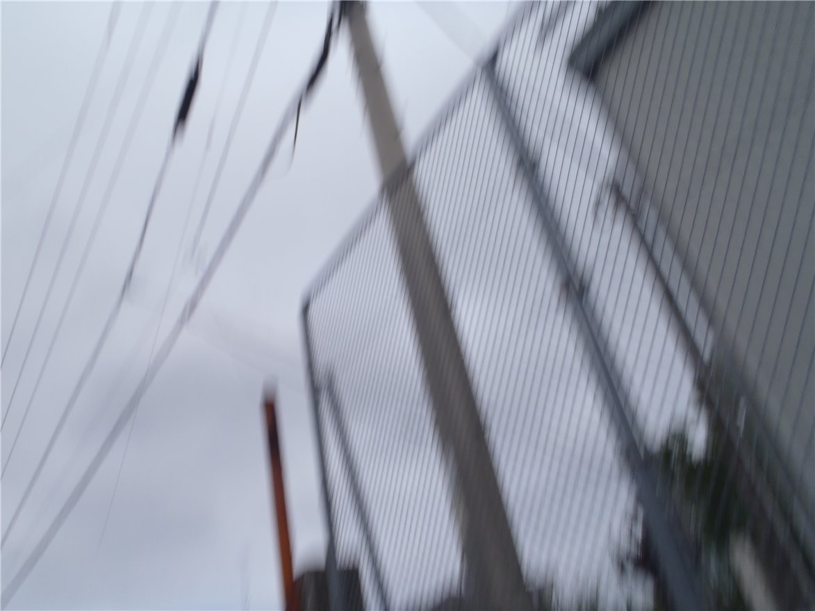 写真 No.56