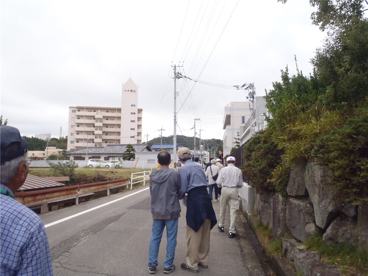 写真 No.60