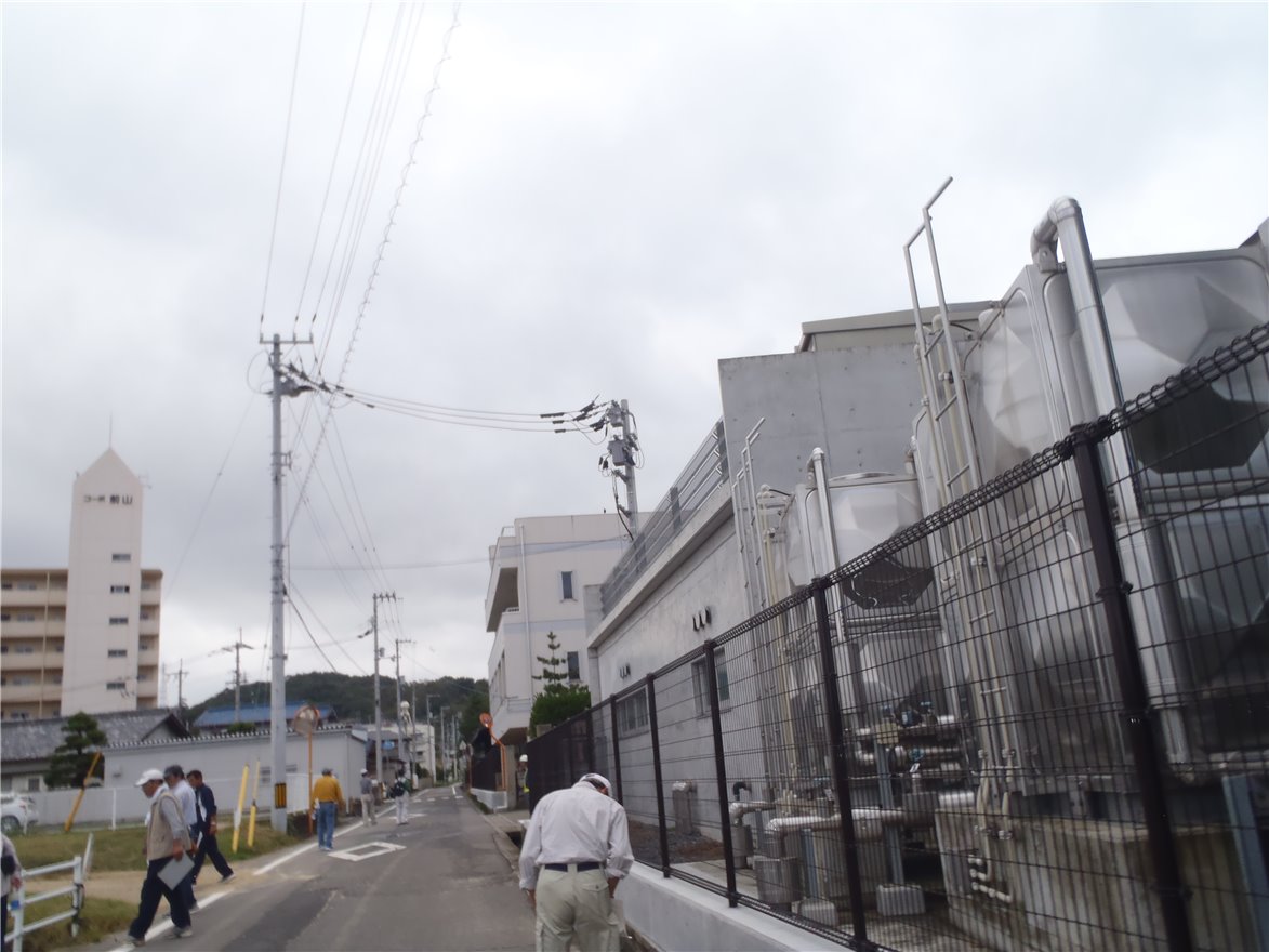 写真 No.61