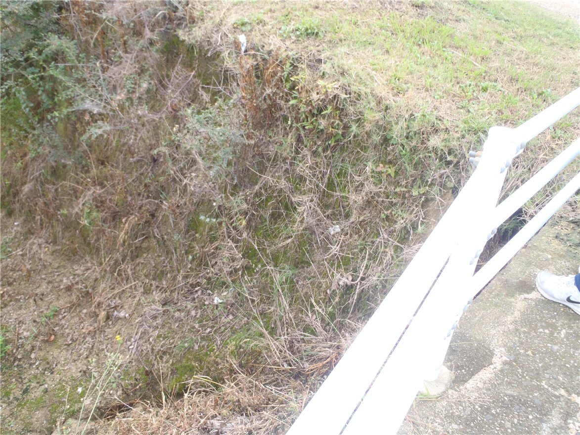写真 No.62