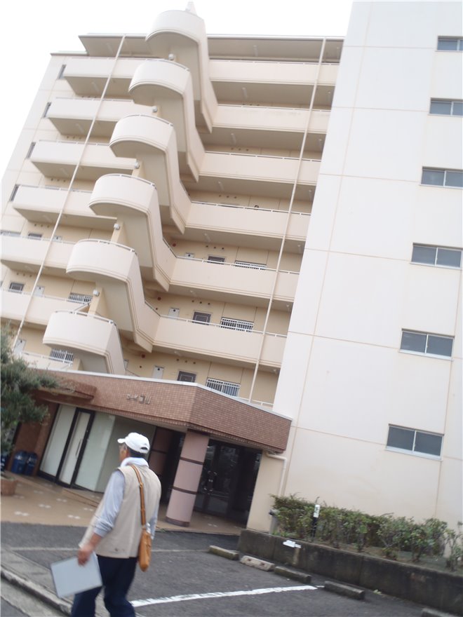 写真 No.65