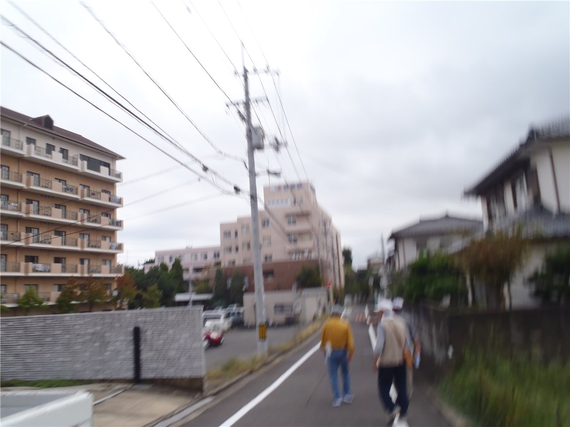 写真 No.66