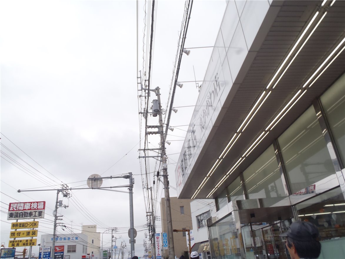 写真 No.71
