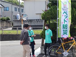 写真239