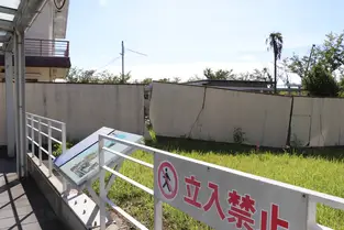 写真965