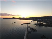DJI_0110