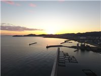 DJI_0111