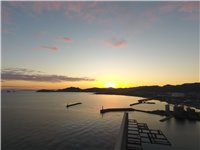 DJI_0113