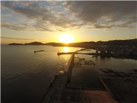 DJI_0130