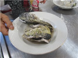 写真497