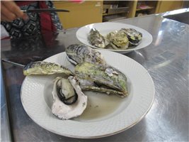写真498
