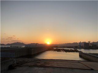 IMG_2312