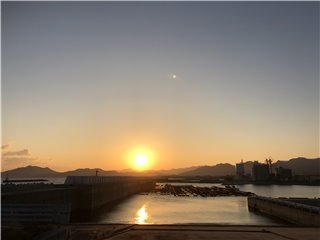 IMG_2317