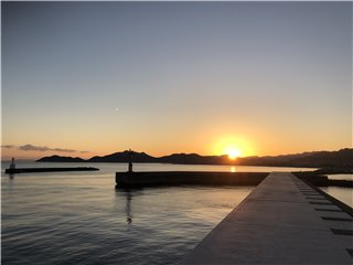 IMG_2331