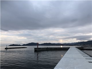 IMG_2339
