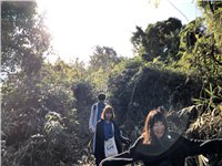 写真img_7720