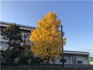 07