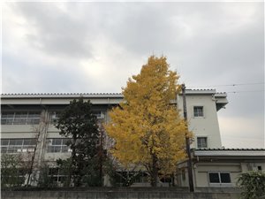 09