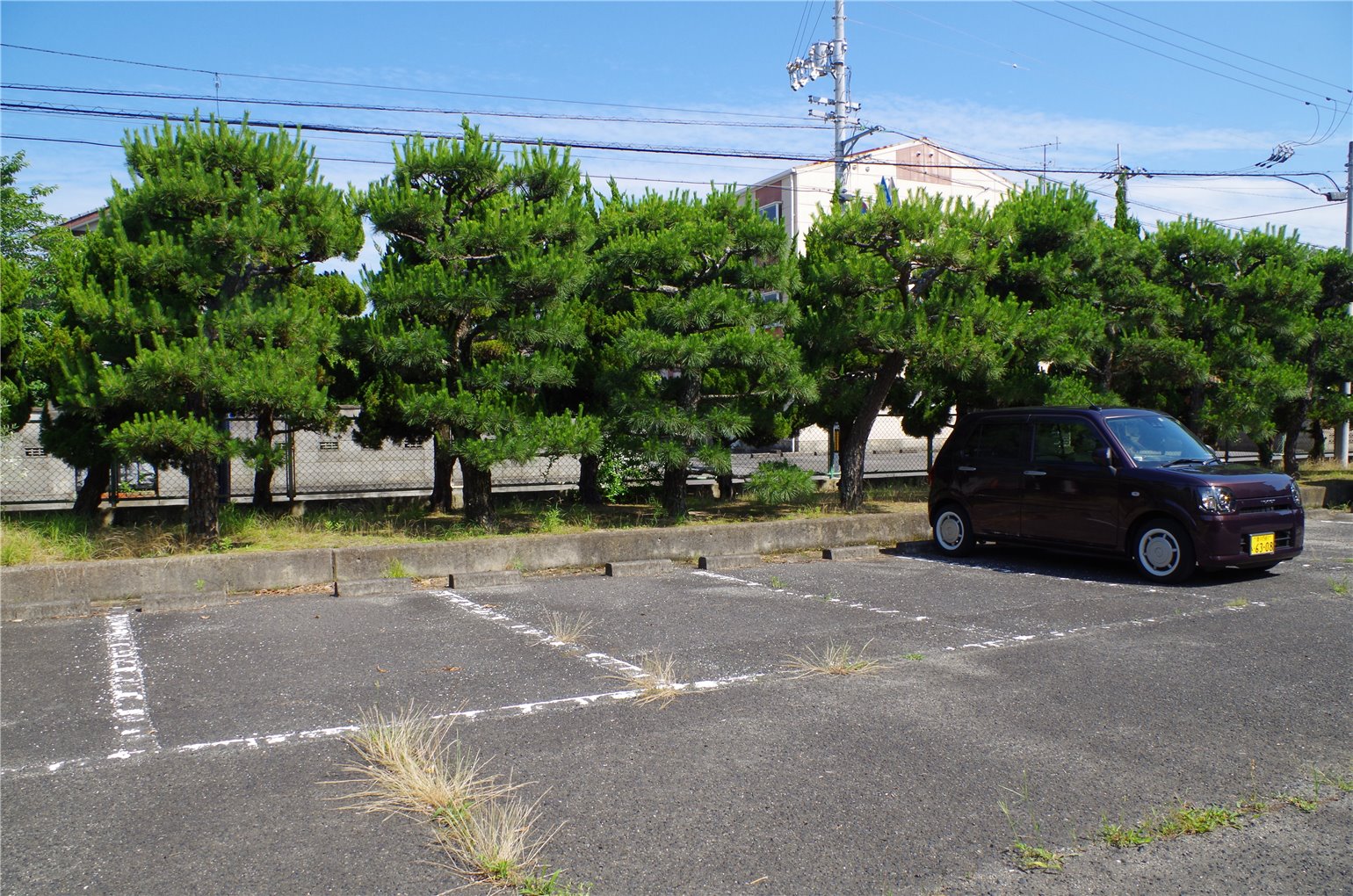 01_1の画像