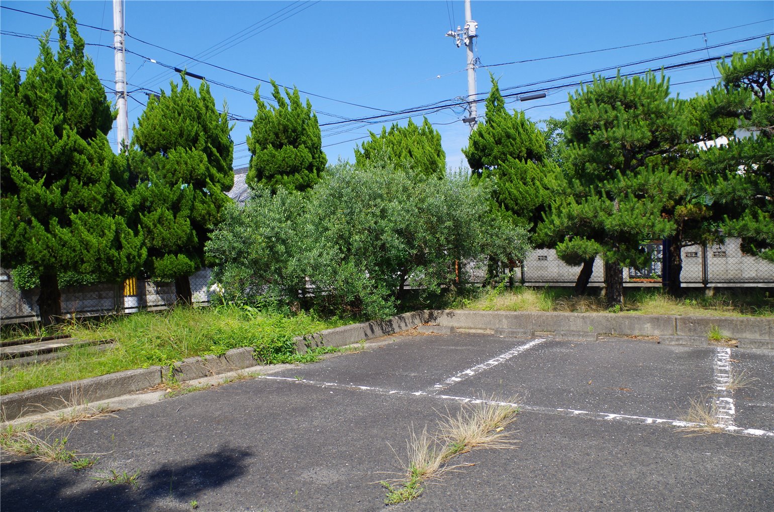 02_6の画像