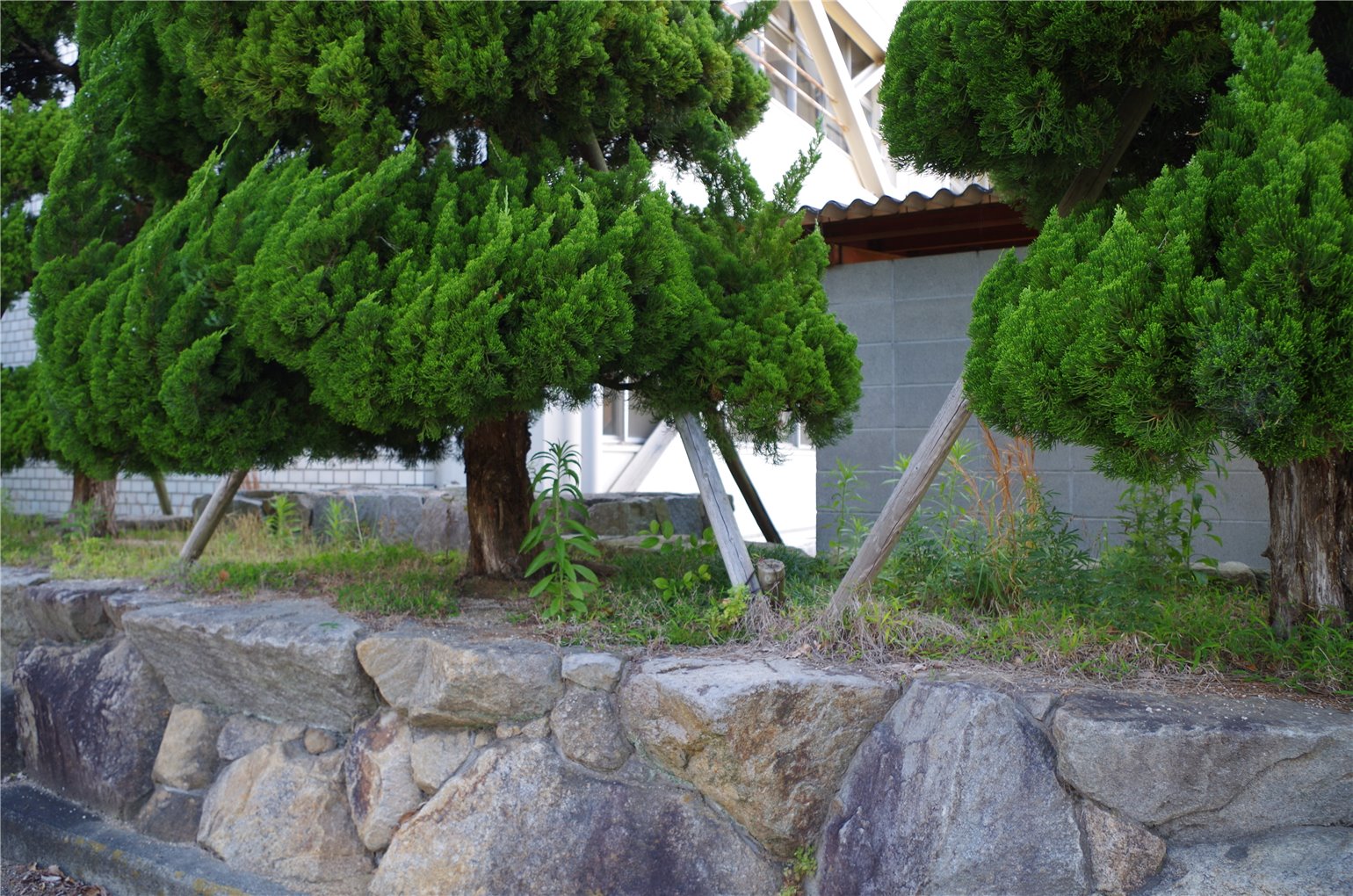 07_3の画像