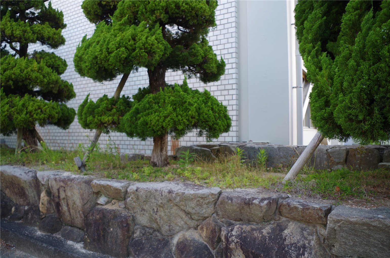 08_3の画像