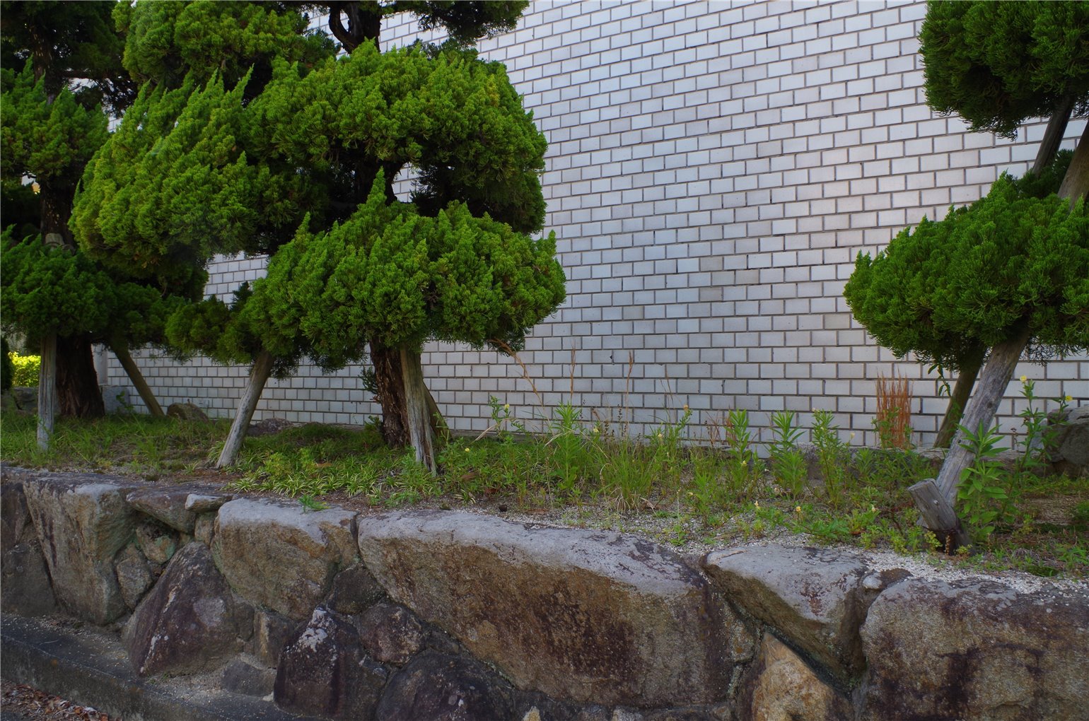09_3の画像
