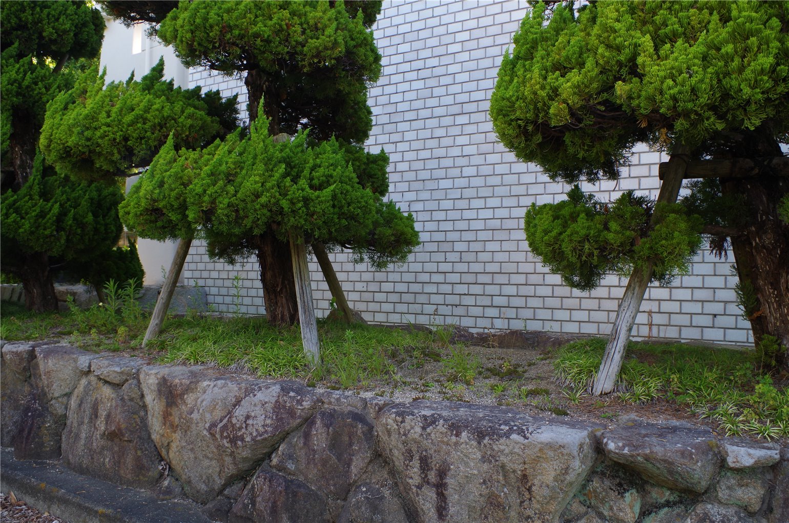 10_3の画像