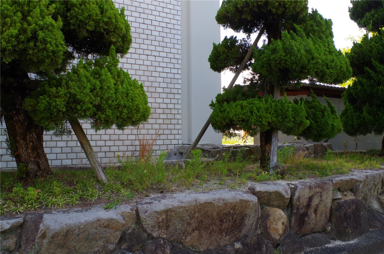 10_4の画像