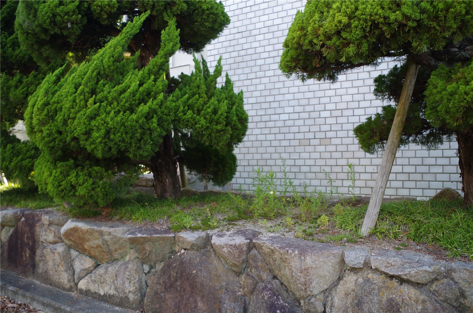 11_3の画像