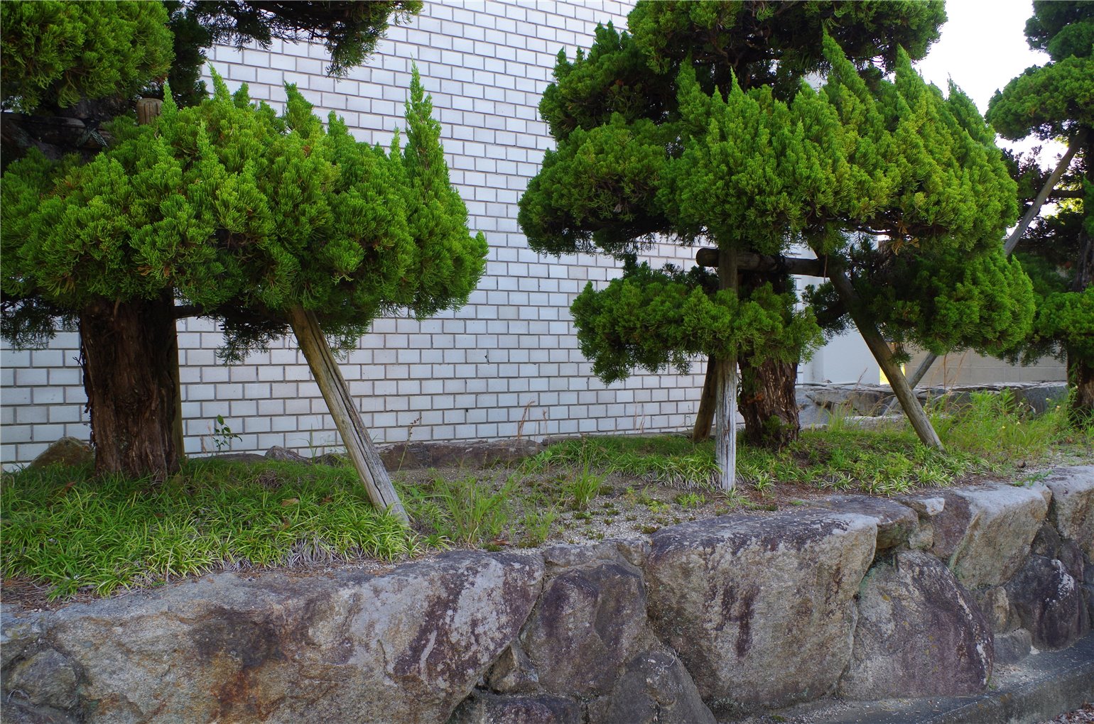11_4の画像