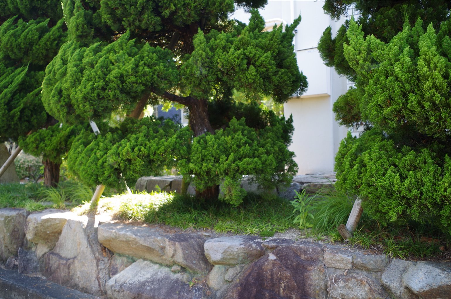 12_3の画像