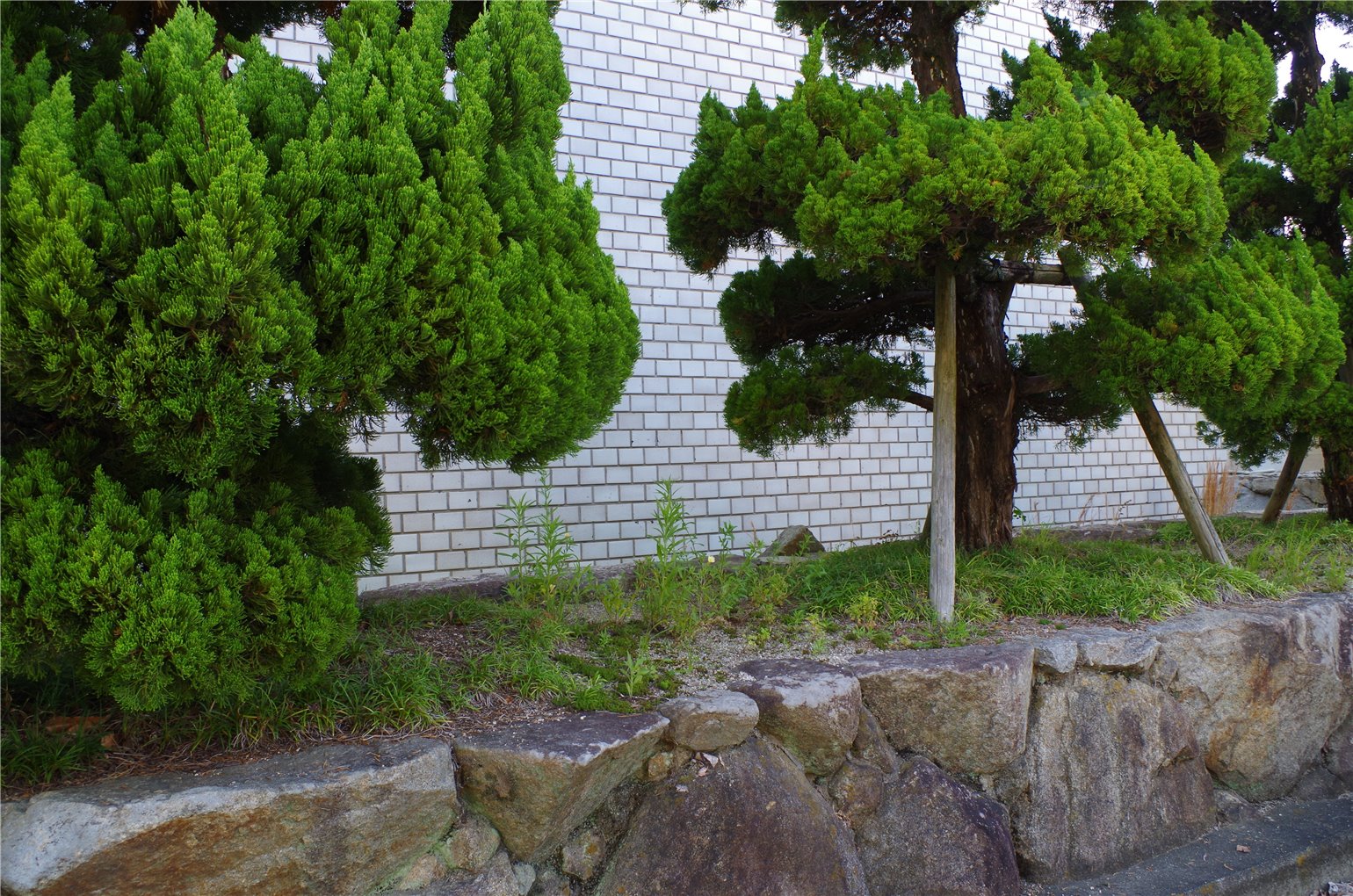 12_4の画像