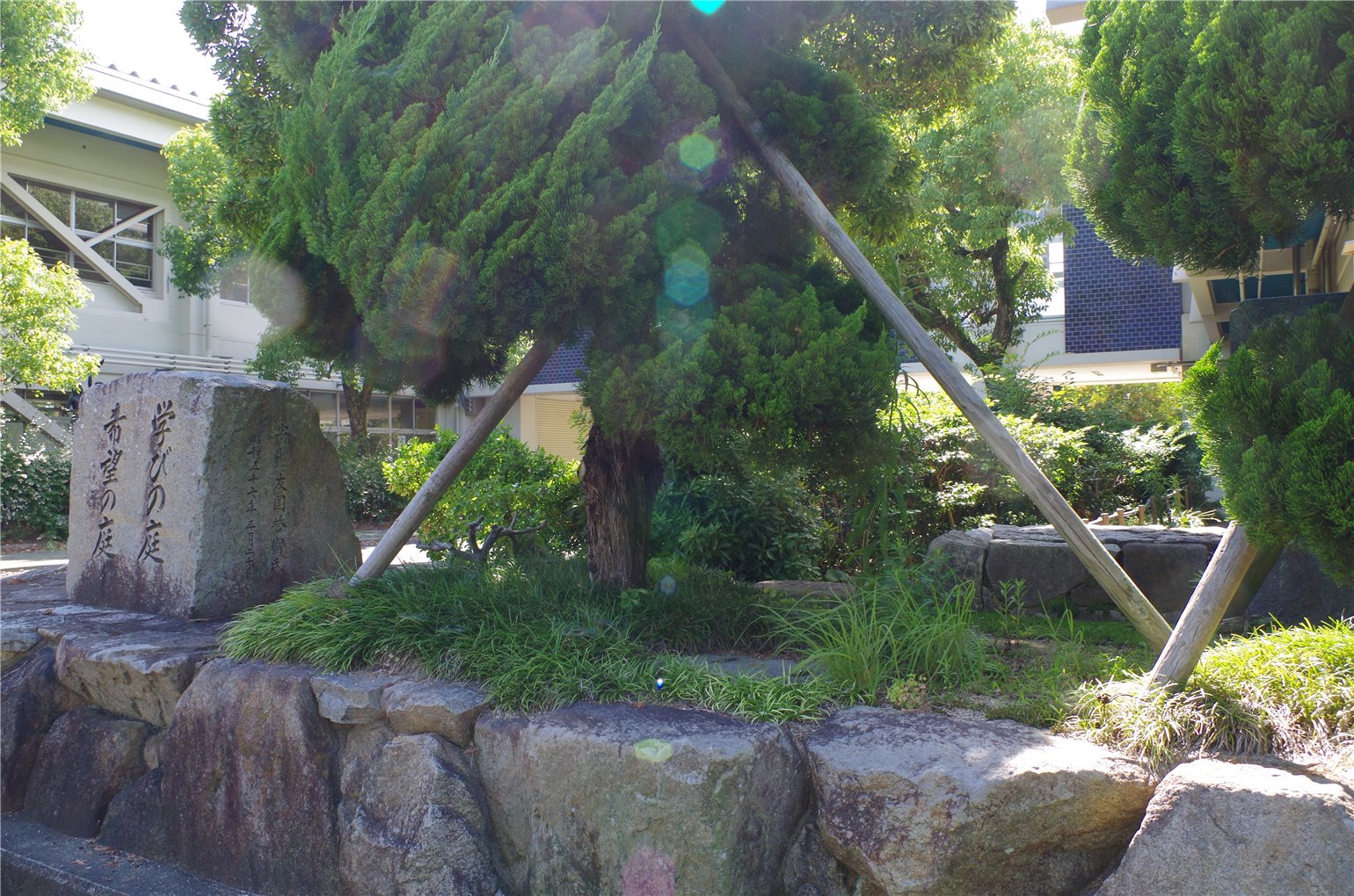 13_3の画像