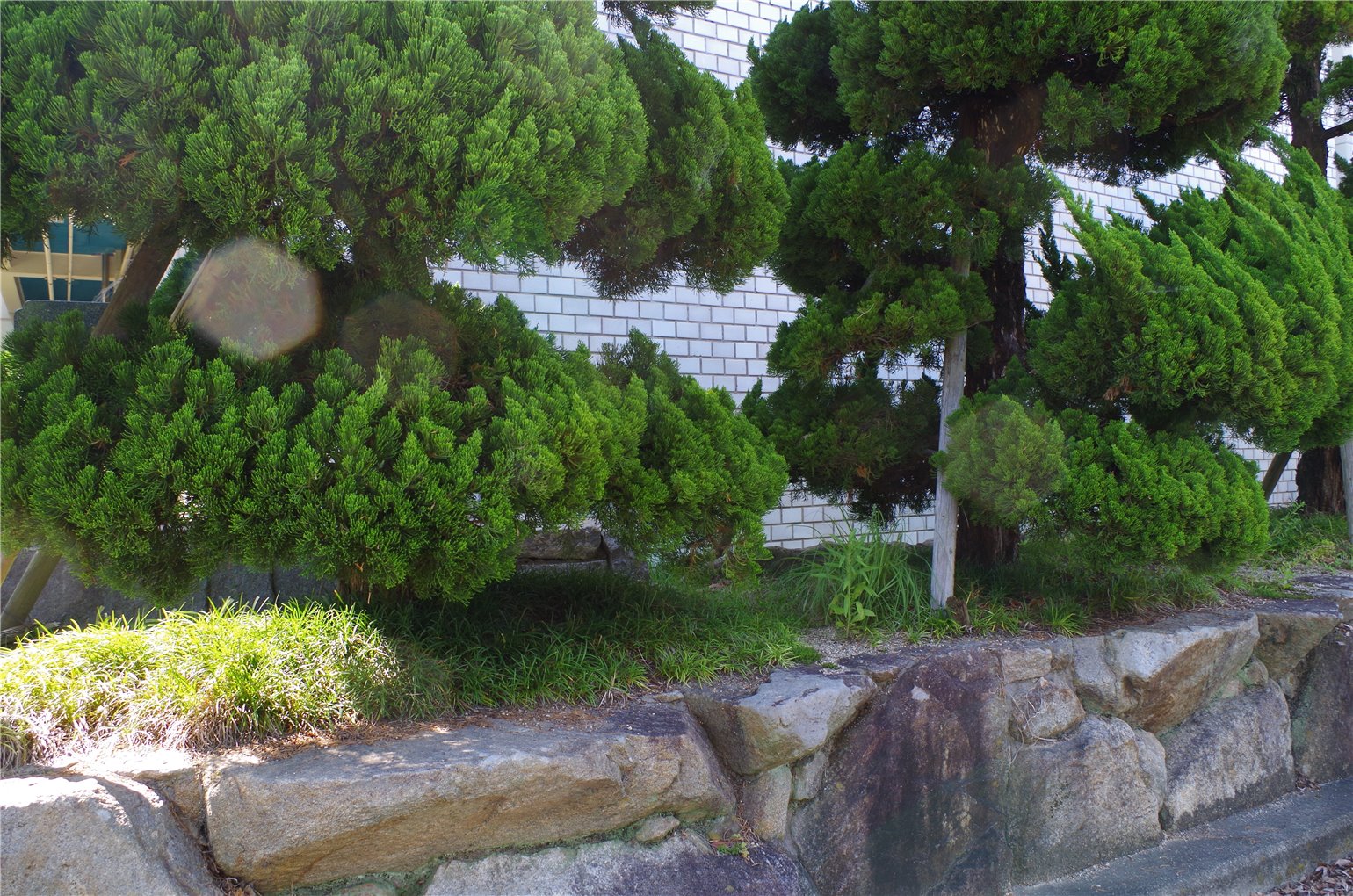 13_4の画像