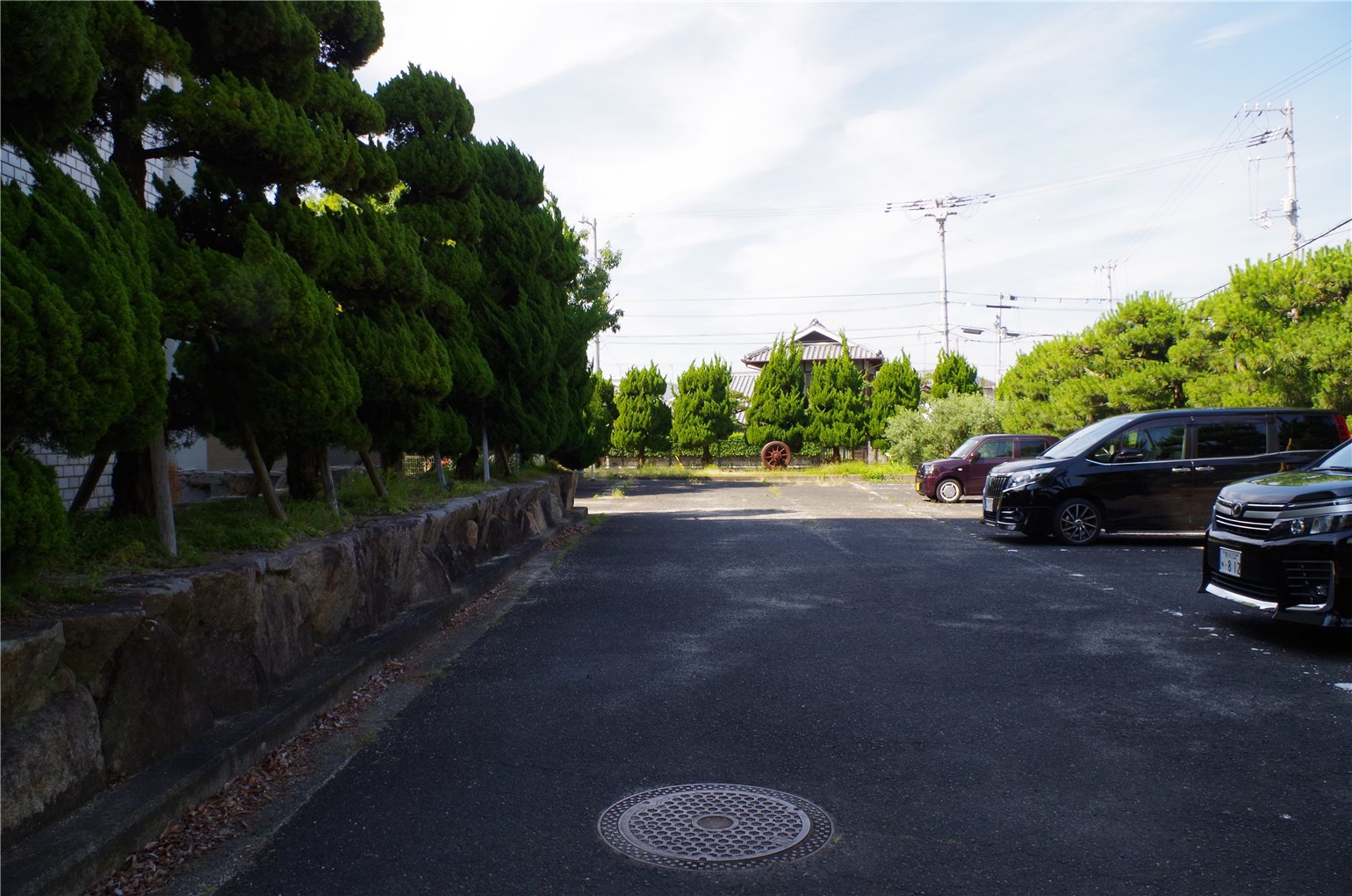 13_5の画像