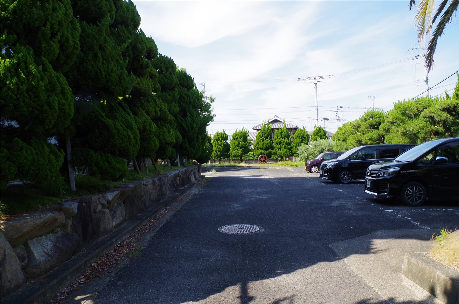 14_5の画像