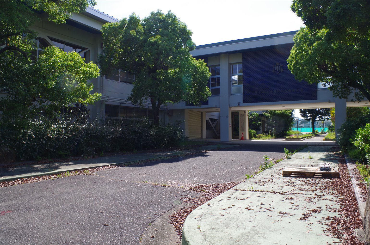 15_3の画像